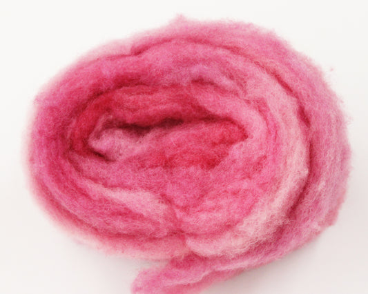 Wool Roving 20g - Tropical Breeze